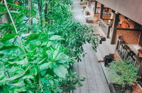 Haad Rin Resort | 36 m² Resort ∙ 127 guests