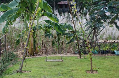 Bua Sali Bed & Breakfast | 40 m² Bed and breakfast ∙ 3 guests