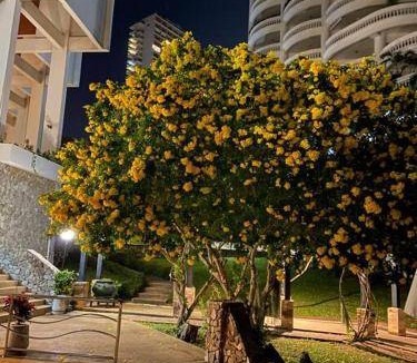 North Pattaya Apartment | 58 m² Apartment ∙ 1 bedroom ∙ 2 guests