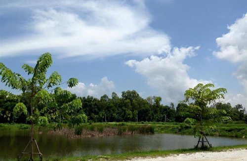 Rayong Resort | 60 m² Resort ∙ 9 guests