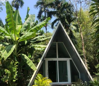 Khlong Sok House | Ample Forest Khao Sok Farmstay