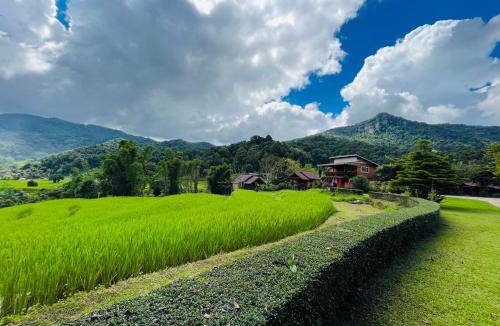 Chom Thong House | Angha forest view บ้านริมไผ่