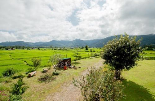 Pua House | Baan chomphu @Pua