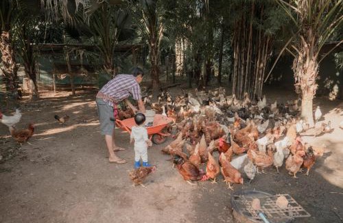 Chong Kham House | Baantonmai Farmstay