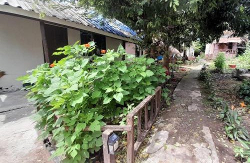 Bai Lan Resort | Bamboo Hut Resort and Restaurant
