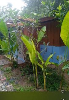Ko Yao House | Bang Riss kee Home Stay4