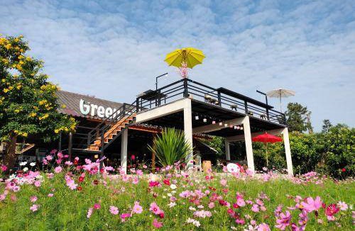 Wiang Pa Pao Bed & Breakfast | Bed and breakfast ∙ 32 guests