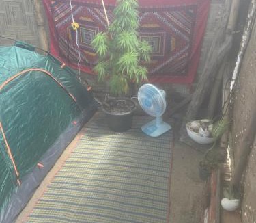 Ko Lanta Other | Binhs Rolls
