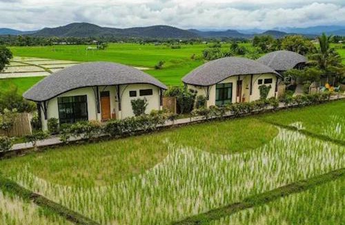 Mae Pong Resort | Capybara Zen Resort And Spa