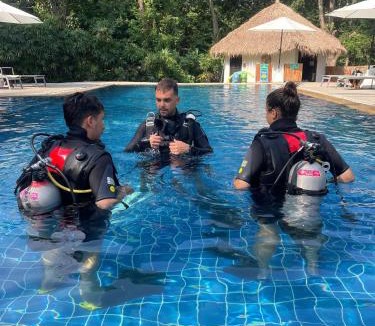 Koh Tao Hostel | Chalok Reef Divers Hostel