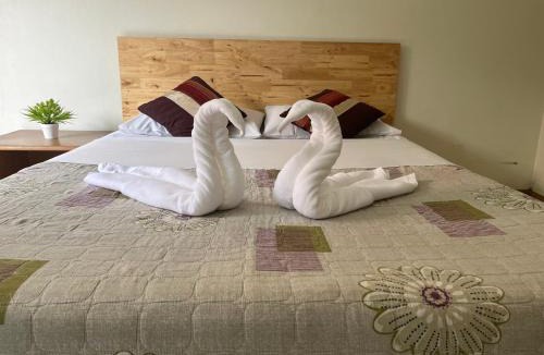 Chiang Rai Hotel | Chat Residence Hotel