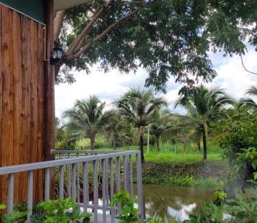 Ban Kluai House | Coco farm stay Suanphueng