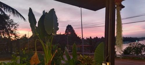 Surat Thani House | Cozy House Homestay Khlong Phum Duang