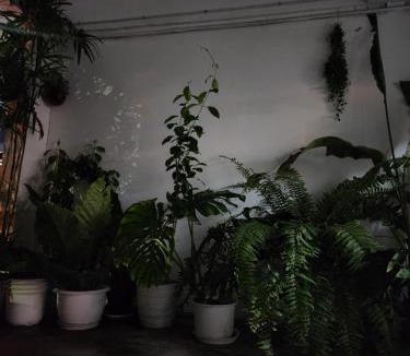 Chatuchak House | Creative Bangkok Balcony