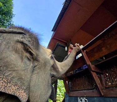 Mae Taeng House | Elephant view terrace chiang mai บ้านระเบียงชมช้าง