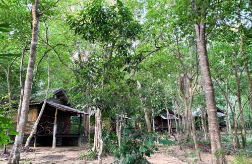Nuea Khlong House | Foresta Cottage of Koh Pu no6196