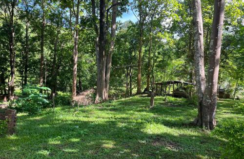 Mueang Pan House | Golden Cloud Farm