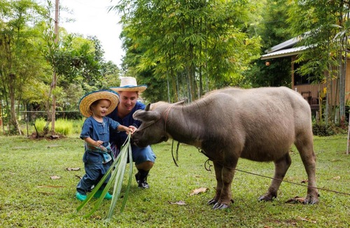 San Klang House | Hang Tueng farm stay Chiang Mai แฮงตึง ฟาร์มสเตย์ เชียงใหม่