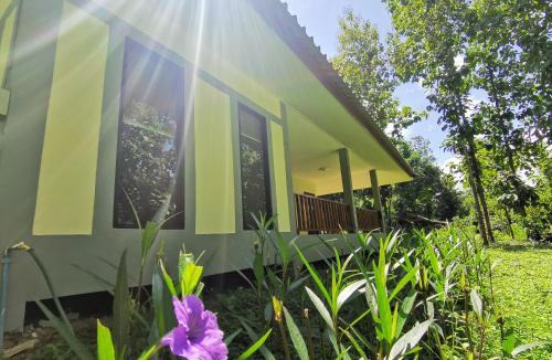 Mueang Pan House | Home Garden Chaeson บ้านสวน ชวนฝัน