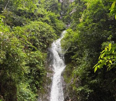 Ko Chang Apartment | Hornbills Garden