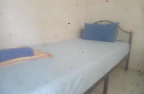 Saladan Hostel | Hulahulahouse