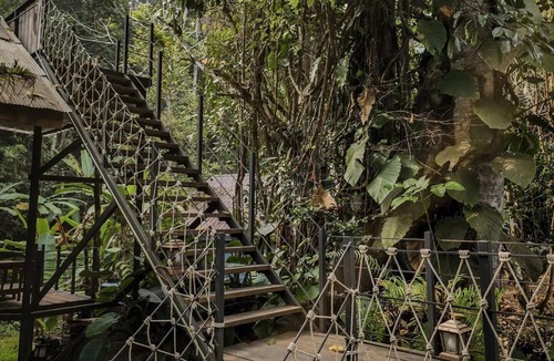 Doi Saket Cabin | Jungle Glass Box Waterfall View