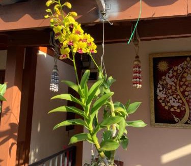 Chiang Khan House | K Khan Garden at Chiang Khan Walking Street