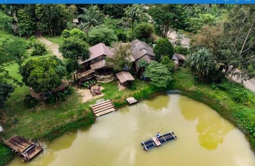 Khlong Sok House | Khao Sok Homestay Resort