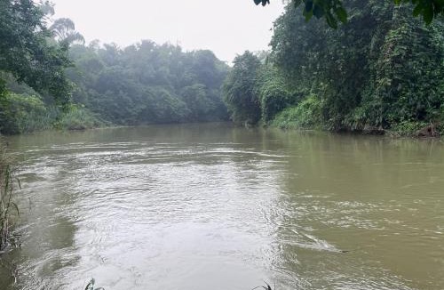 Phanom House | Khaosok gallery & camp