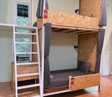 Khlong Sok Hostel | Khaosok Jungle Hostel Branch 2