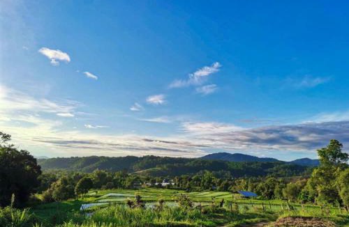Mae Wang Other | Klang Khao Cabin & Camp