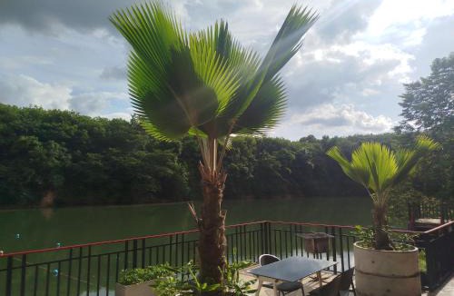 Phunphin Resort | Lake View Resort