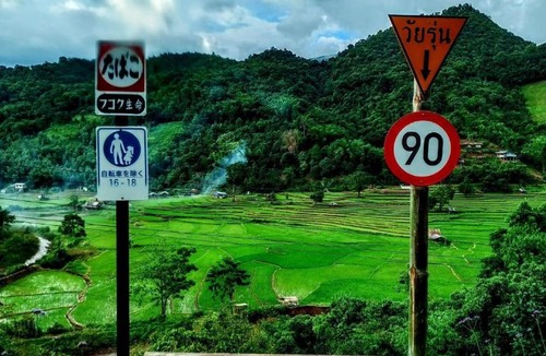 Bo Kluea Other | Luxury tents in Ban Khun Nam Nan, Thailand