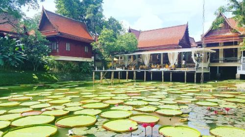 Bang Tao Resort | Ma Doo Bua Stay - SHA Extra Plus