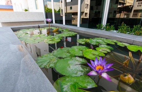 Rangsit Hotel | Matini Premium @ Klong 1