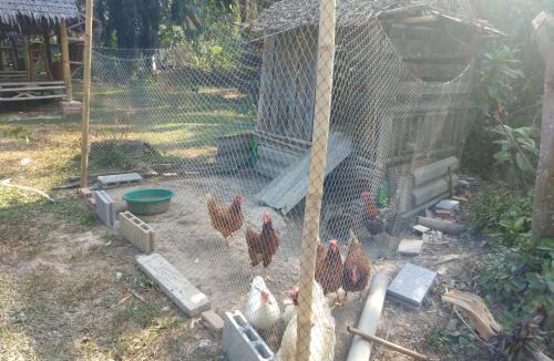 Krabi House | Meechok organic home