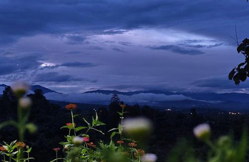 Saluang Cabin | MJ Homestay & Camping
