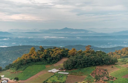 Mae Rim Other | MonPhuView MonJam ม่อนภูวิว ม่อนแจ่ม