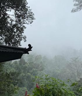 Mae Taeng Apartment | MORI KAWA Mountain Retreat Chiang Dao