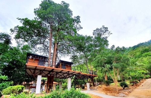 Phetchaburi Cabin | Mountain Front Hut For 2 Rare Birds, Bikes, Nature