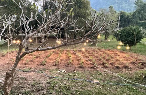 Chiang Rai House | Muangkham Peaceandlove Farm