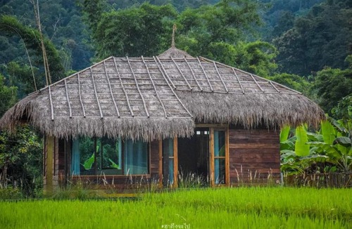 Ban Ton Lung Cabin | Natu Hut Farmstay & Cafe'