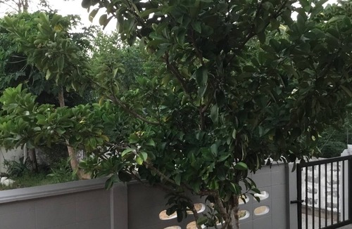Khuekkhak House | Nice house in Khao lak, proximity to shopping, swimming, restaurants and nature!