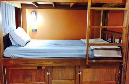 Downtown Krabi Hostel | NOMAD HOSTEL KRABI AND TRAVEl