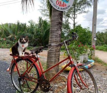 Ko Lanta Bed & Breakfast | Olala Cafe and Bungalow