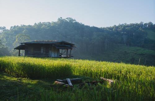 Samoeng Other | Pang Ma - O rice terrace นาขั้นบันไดบ้านปางมะโอ