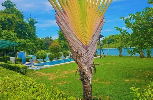 Central Pattaya House | Pattaya Pool Villa 3 Bedrooms