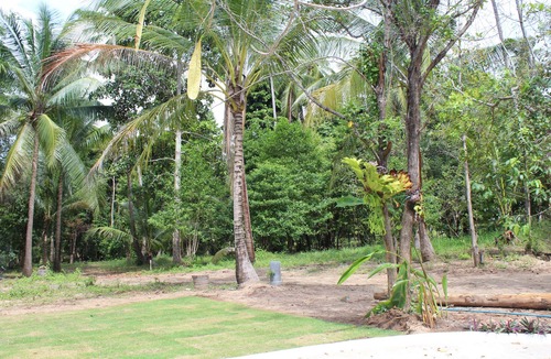 Baan Tai House | Phangan Green Village