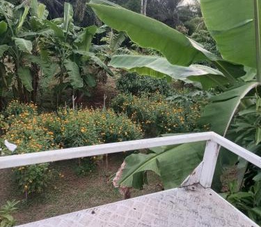 Ban Ta Khun Resort | Pimrada
