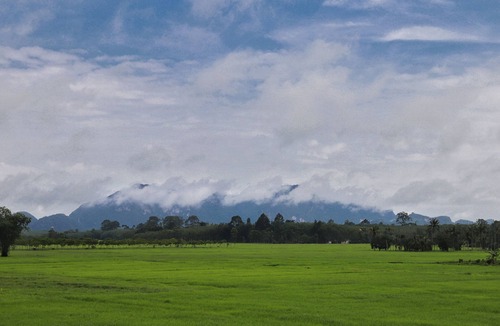 Khuan Khanun House | Private cozy family house, paddy field scenery